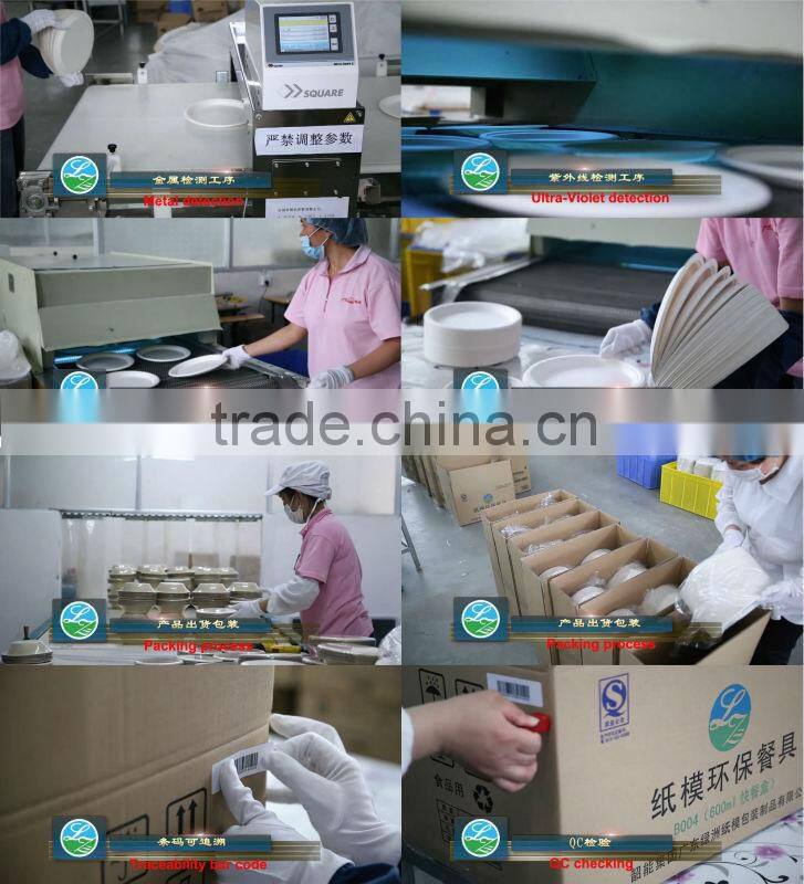 Disposable Take away Box with two compartment