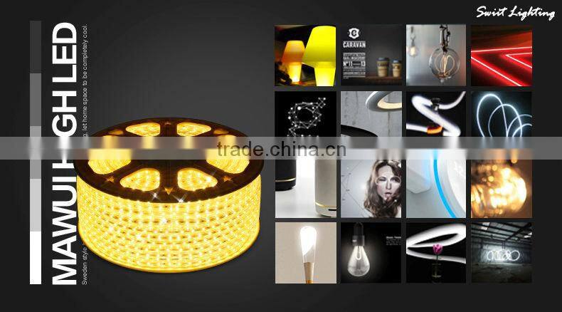 Hot Sale Waterproof IP65 220V/110V LED Strip RGB CE&RoHs Approved