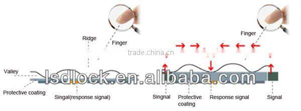 Electronic Fingerprint Indoor Door Lock