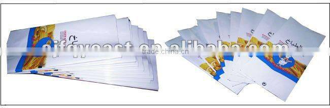 hot sale high quality instant dry yeast powder