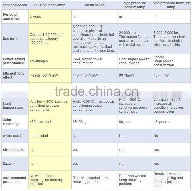 40w-80w induction courtyard lamp