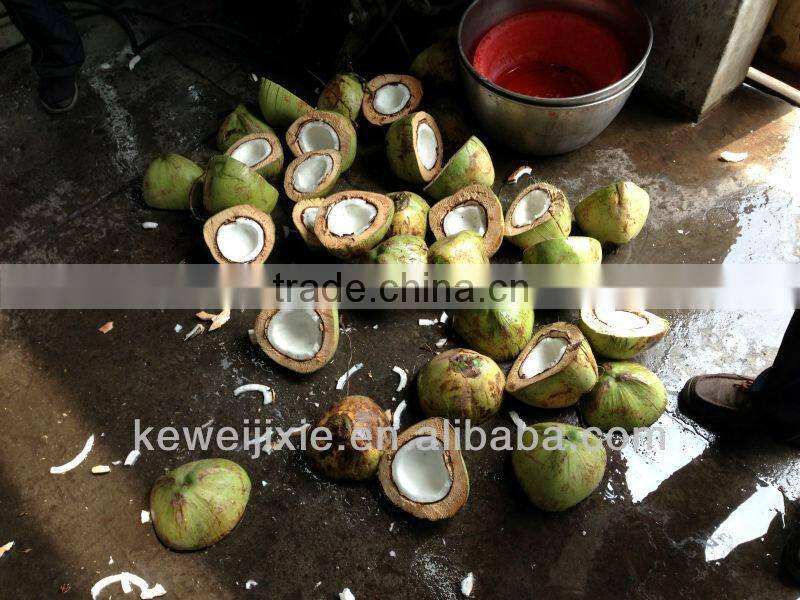 Industrial young coconut grating machine