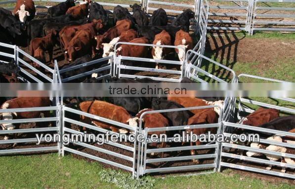 Portable galvanized sheep yard pipe fence panel and gate(china direct factory)