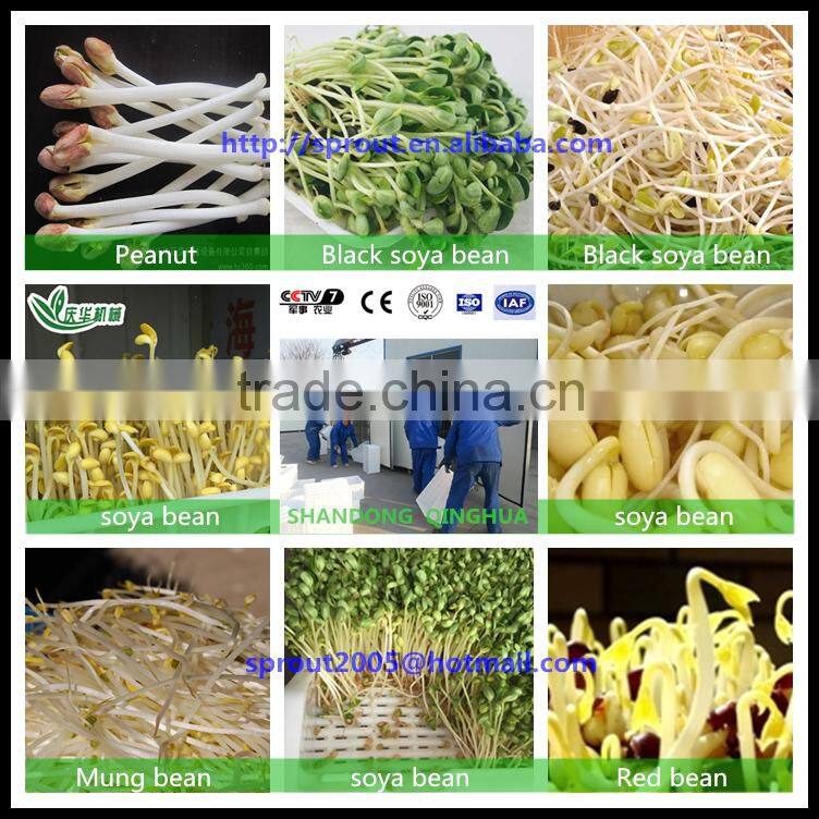 automatic bean sprout machine bean sprout growing machine