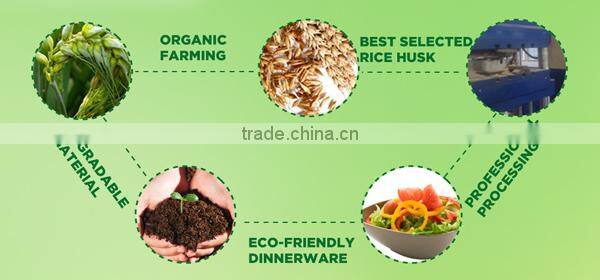 2015 christmas gift rice husk dinnerware