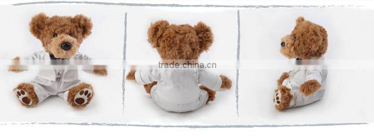 Custom Plush Teddy Bear(TB1118)