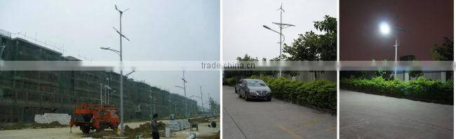 Wholesale Price Die-Casting Aluminium Body solar power street light wind