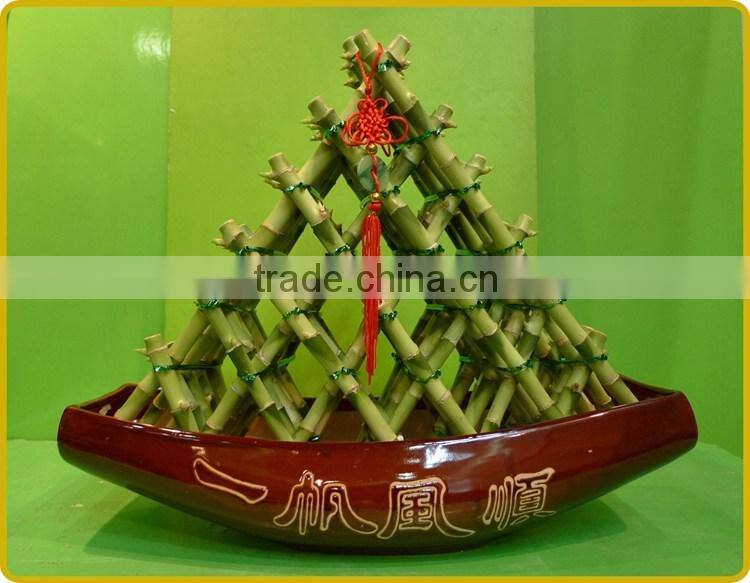 big triangle pyramid lucky bamboo air bonsai tree dracaena sanderiana indoor water aquatic plants nursery garden decoration