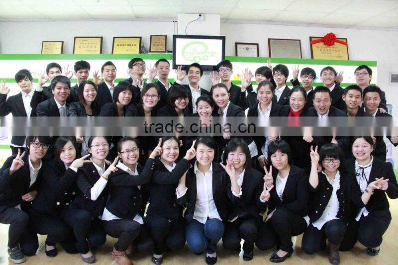 Guangzhou product outdoor ceiling fans outdoor portable battery fan