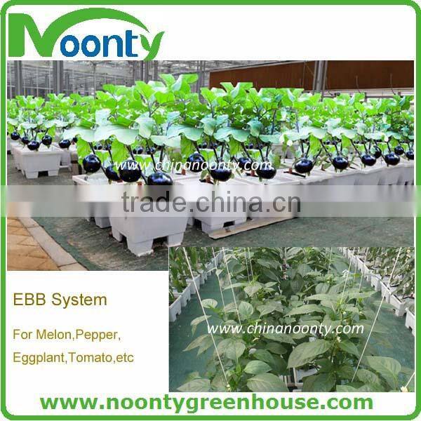 Hydroponics Greenhouse