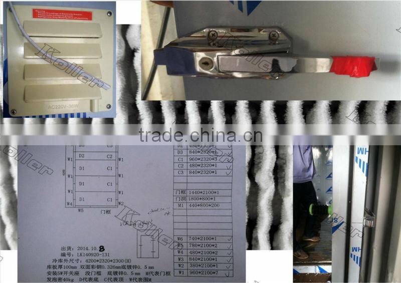 walk in Koller freezer cold room for fishery