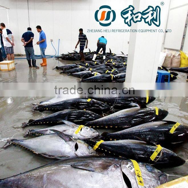 -65 degree ultra low temperature freeze for tuna storage