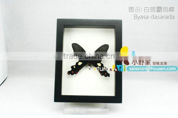 FOUSEN(017) Nature& Art natural species handcraft ornament