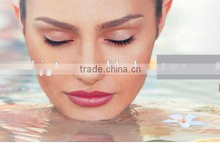 Micro Needle Derma Roller Medical Grade Needle Dermaroller