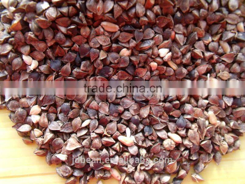 High Quality Buckwheat