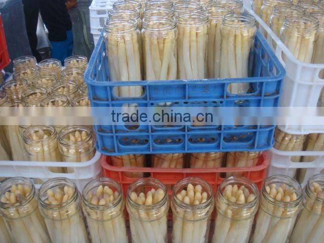 212ml/370ml/720ml Canned White Asparagus in jar with Price