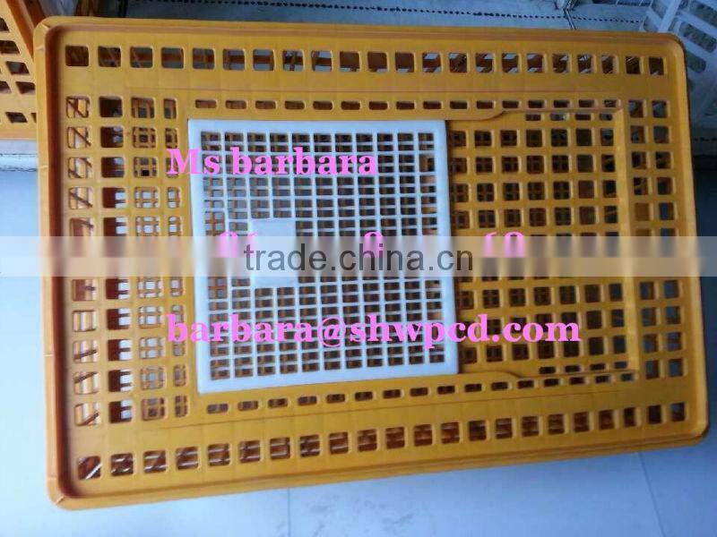 poultry plasson chicken drinker 0086-15238020768