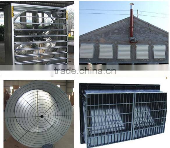 automatic feeder system for poultry
