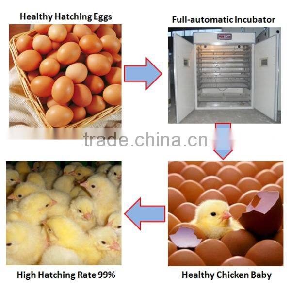 chicken egg incubator , egg incubator homemade