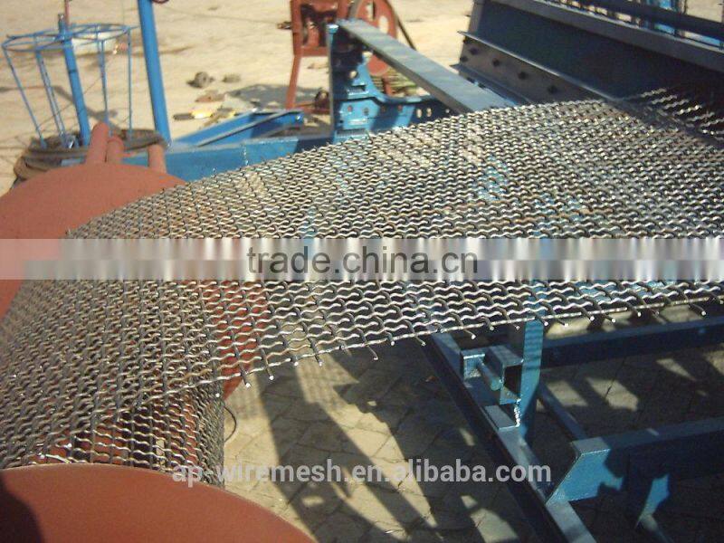 Hot square screening galvanized stainless steel crimped wire mesh (factory)
