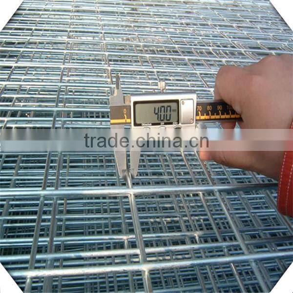 galvanized 1/4 inch galvanized welded wire mesh / lowest price welded wire mesh