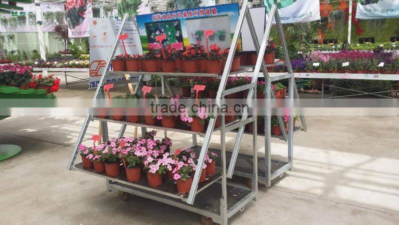 metal high quality flower display trolley rack