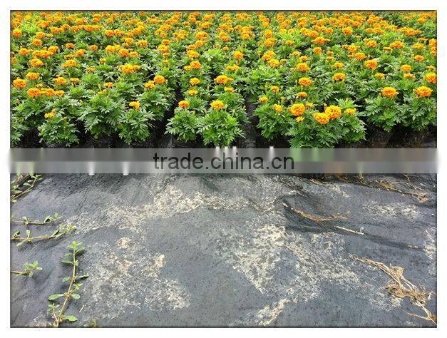 Best selling weed mat 2017 high quality grass mat for greenhouse