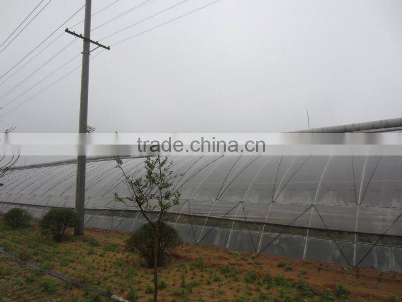 agricultral transparent hdpe uv resistant plastic film for greenhouse