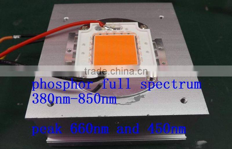 2017 20w full spectrum wavelength 380 840nm cob led grow bead for diy indoor plant flower and veg growing