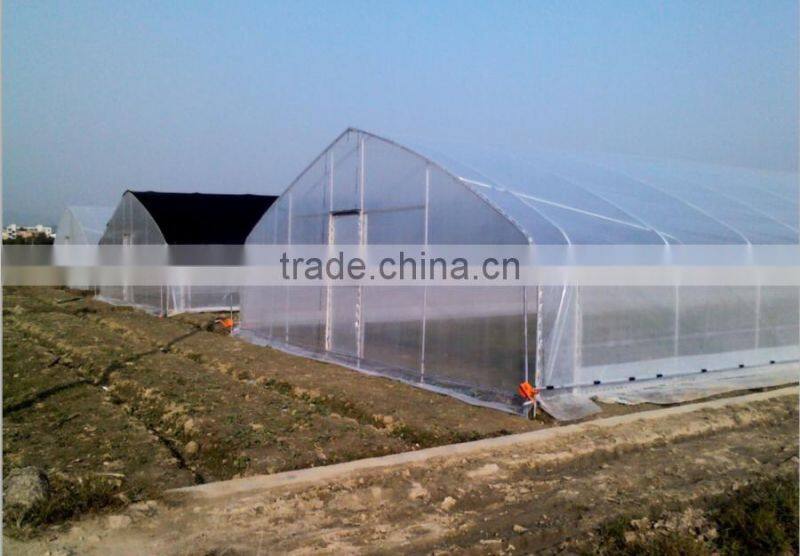 Single-Span Hot-Dip Galvanized Steel Pipe Frame 200mm PVC Film Covered Greenhouse