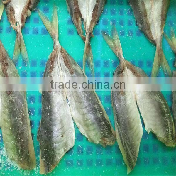 high quality cooking horse mackerel whole round