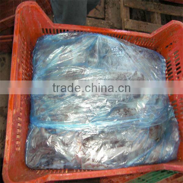 new season iqf wholesale seafood