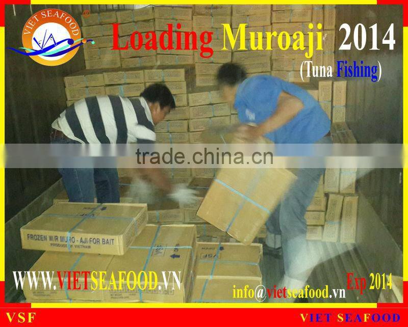LOADING MUROAJI FOR TUNA BAIT