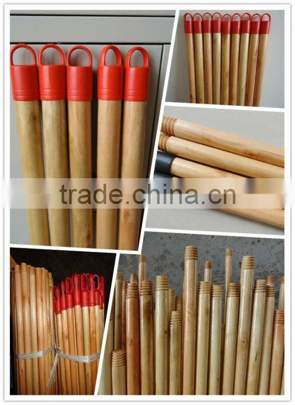 Floor Cleaning Varnished Wood Mop stick