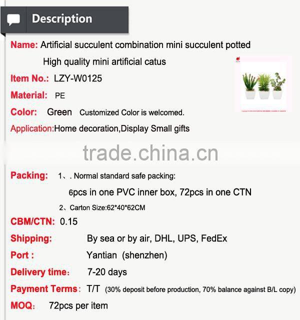 Artificial succulent combination mini succulent potted High quality mini artificial catus