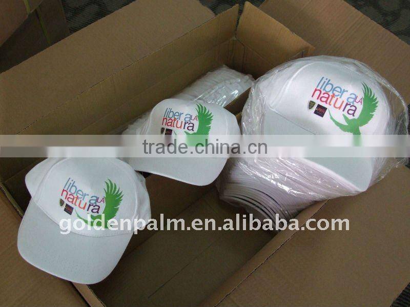 Promotiona Baseball Cap