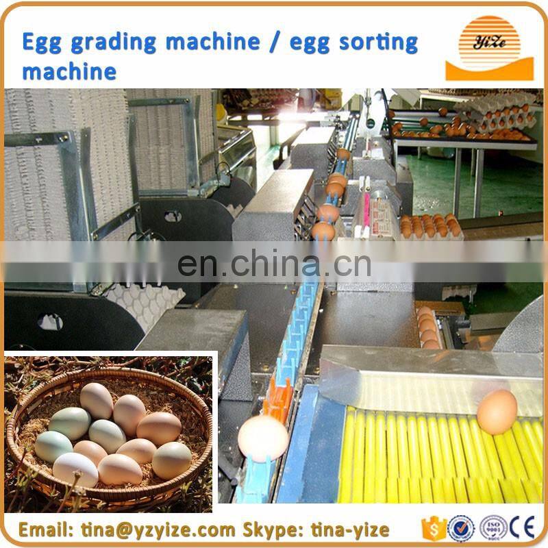 Stainless steel quail egg peeler machines peeling quail egg , machine peeled quail eggs