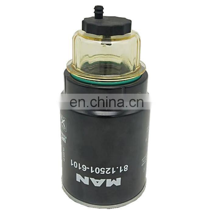 fuel filter 81.12501-6101