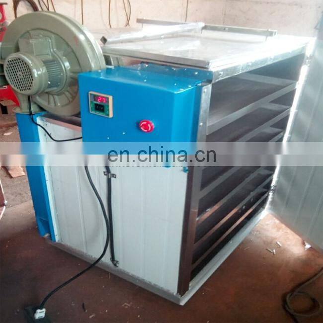 Fruit Solar Dryer Machine