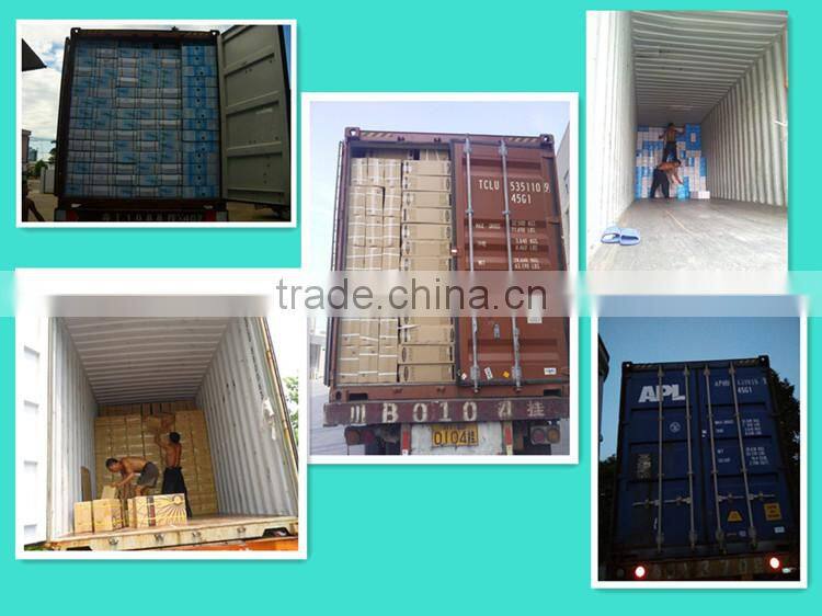 instant gas water heater for home appliance