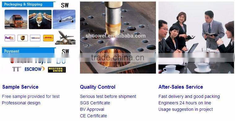 Solar Mounting Ground Screw for Solar Mounting Panel System/Mounting Piling Screw