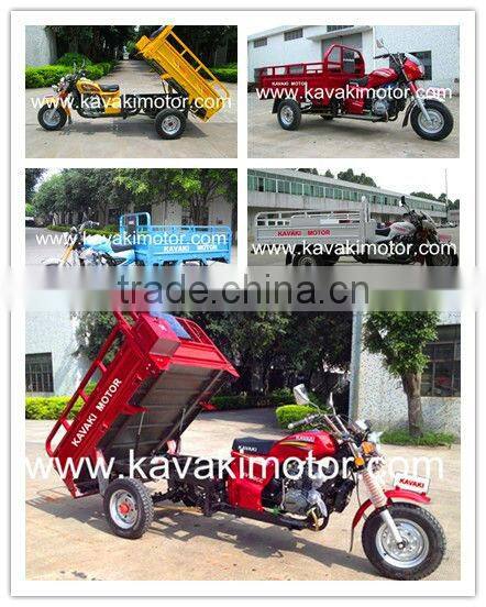 Flexiable three wheel cargo trike/scooter