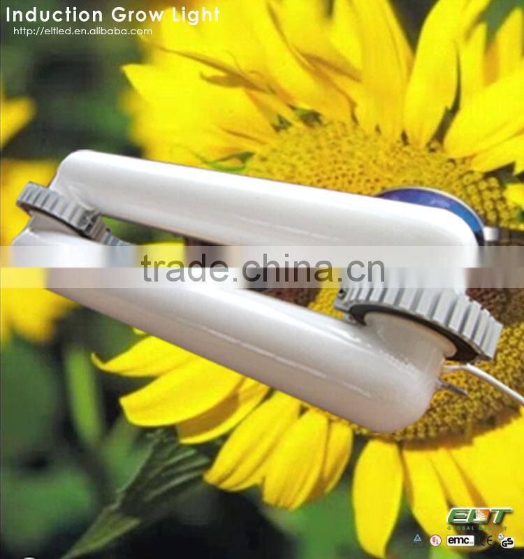 full spectrum induction lamps item type and plasma grow light