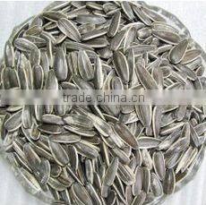 Sunflower Seed Color Sorting