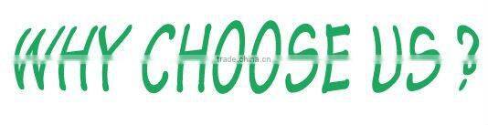 customized playground rides/ human gyroscope rides 3D space ring