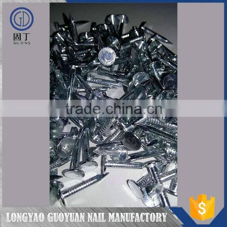 Galvanized common nails wire that most selling product in alibaba