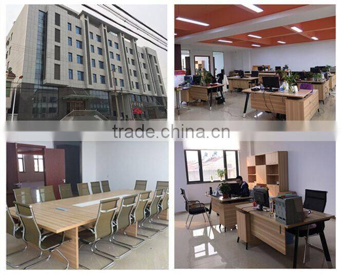 Seagull,cheap retro electric bike