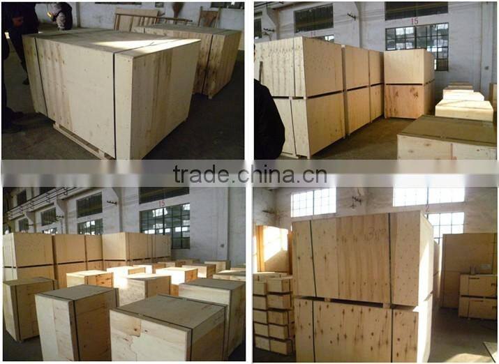 Quantitative Charcoal Packaging Machine