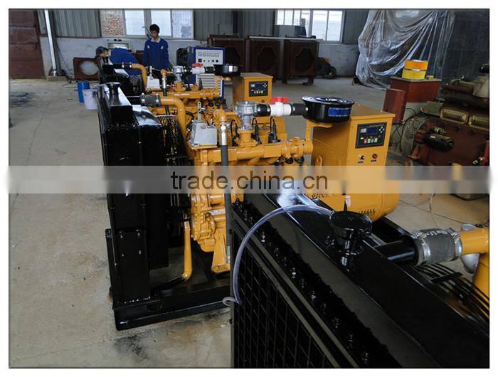 Turnkey project CE ISO High Efficient 10 - 50 kw small biogas plant