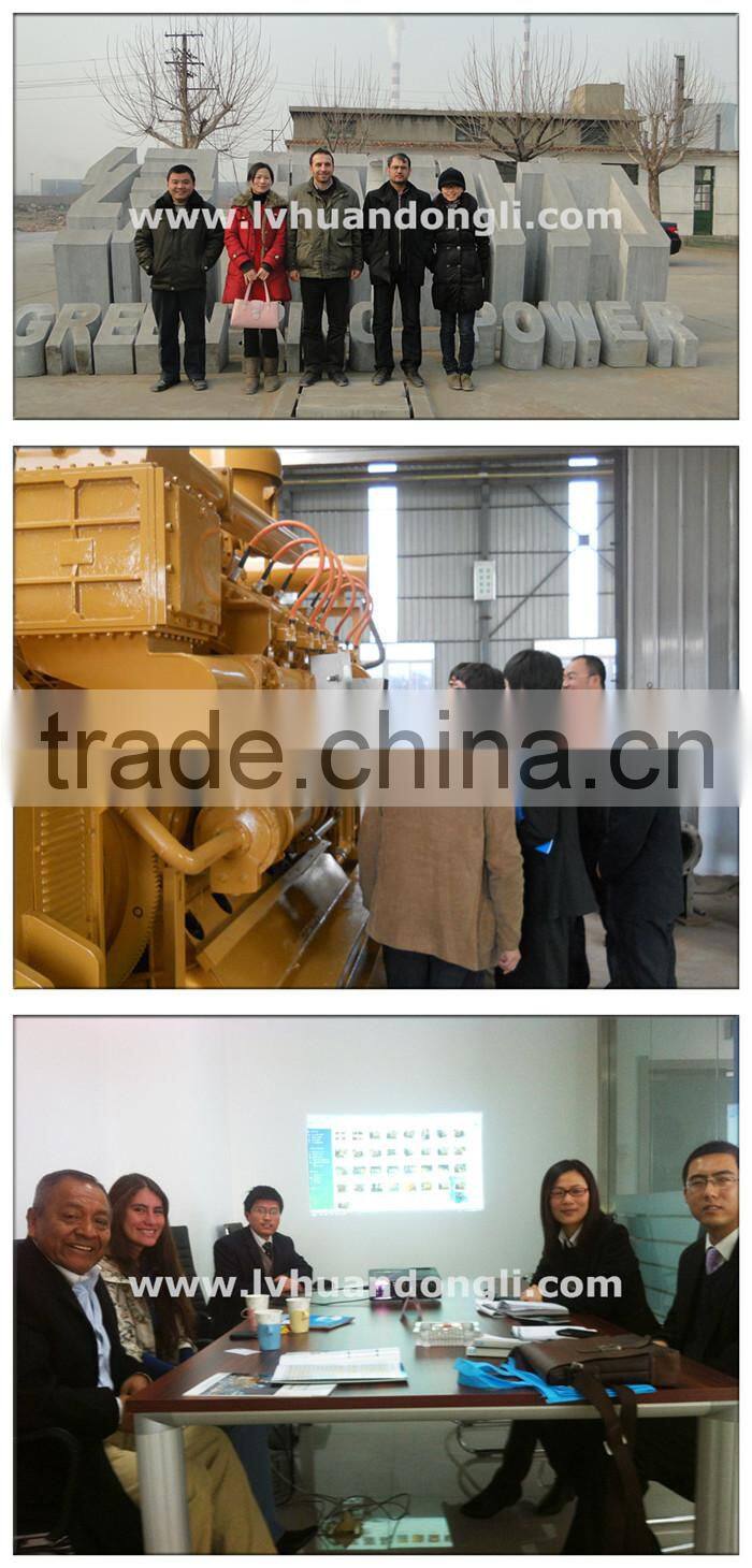 International standard AC three phase 10-600KW electric generator/electric gas generator/biomass electric generator